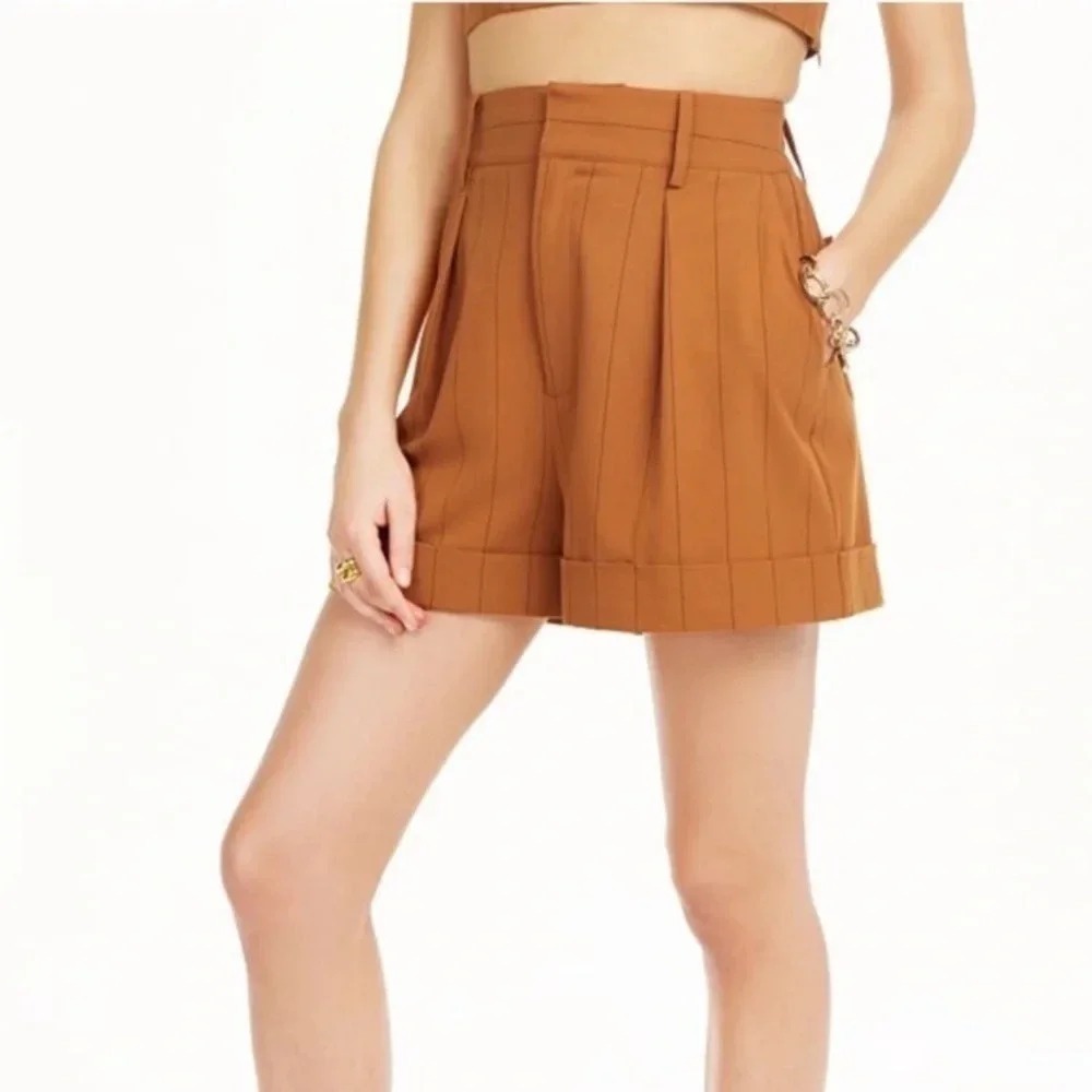 Danielle Bernstein Rust Brown Pinstripe‎ Pleated High Waist Cuffed Shorts 18W